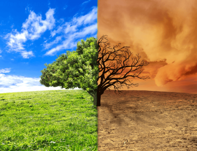 impact of climate change on insurance policies