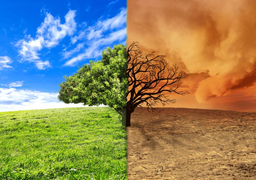 impact of climate change on insurance policies